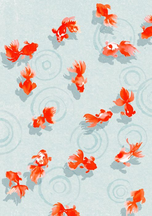 Fondo para celular, wallpaper bonito de peces japoneses anaranjados nadando