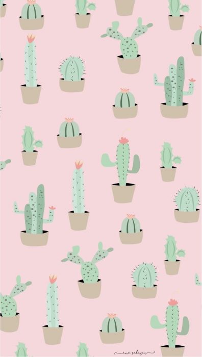 Fondo para celular, wallpaper bonito de cactus en macetas con fondo rosa