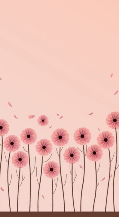 Fondo para celular, wallpaper bonito de flores rosas minimalistas sobre fondo rosa