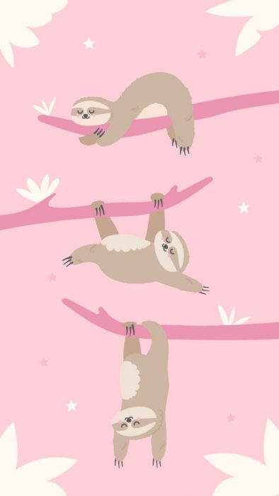 Fondo para celular, wallpaper ilustración de osos perezosos dormidos en la rama de un árbol sobre fondo color rosa