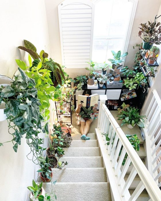 Chica sentada leyendo un libro al final de la escalera. Plantas que rodean los escalones 