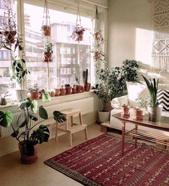 Sala de estar con ventanal grande decorado con plantas de diferentes tipos, mesa de centro, alfombra roja con toques dorados y sillón blanco 