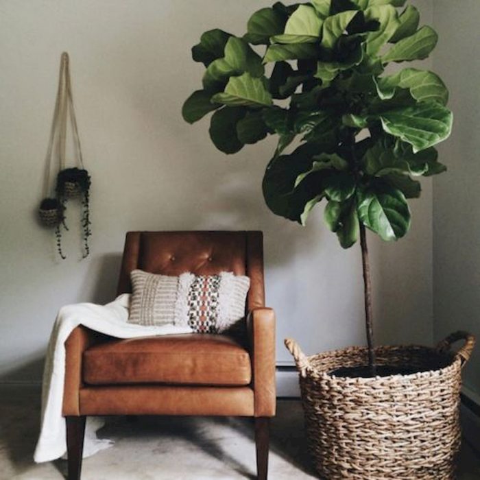 Sillón que se encuentra en medio de una sala de estar en la que hay una planta grande dentro de un cesto de palma 