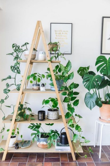 Tarima de decoración que tiene plantas desde el primer escalón hasta el último, ideal para habitaciones que reciben luz natural 