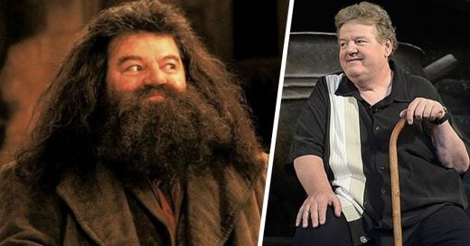 'Hagrid' ahora está en silla de ruedas a causa de la osteoartritis