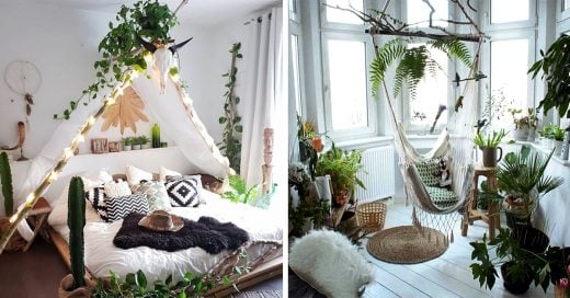15 Ideas para que decores tu casa con plantas que te ayuden a relajarte