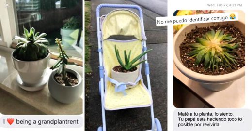 Portada Hija pide a su mamá que cuide a sus plantas