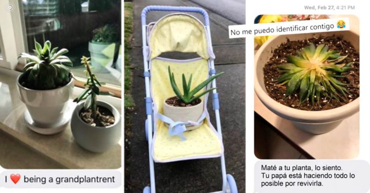 Portada Hija pide a su mamá que cuide a sus plantas