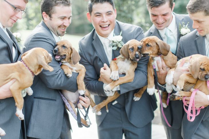 Grupo de hombres con trajes sastres color gris sosteniendo cachorros pequeños para una fotografía de bodas 