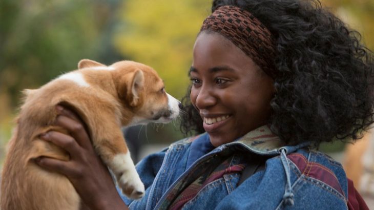 Chica sonriendo mientras sostiene a un cachorrito