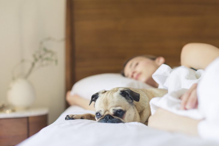 Mujer en cama durmiendo junto a su perro 