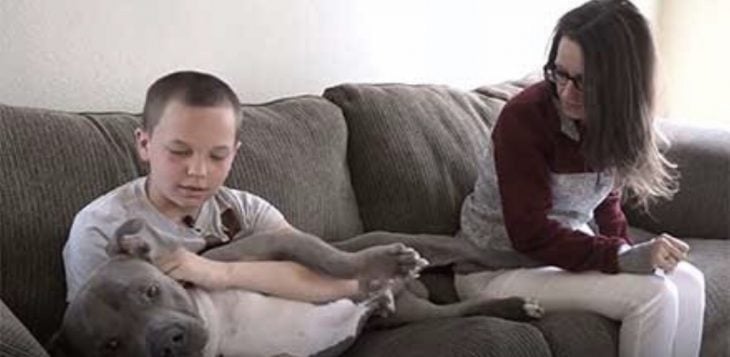 Hijo y mamá sentados en sillón café con un perro de raza pitbull color gris con blanco