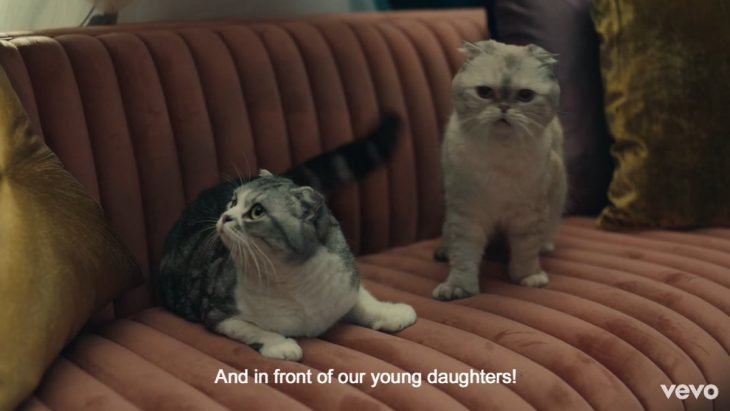 Dos gatos sobre un sillón en el nuevo video musical de Taylor Swift ME