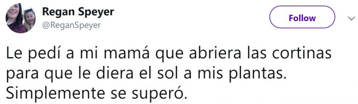 Hija pide a mamá que cuide sus plantas suculentas