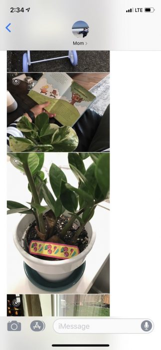 Hija pide a mamá que cuide sus plantas, abuela leyendo un cuento a maceta y planta con un curita de cerezas