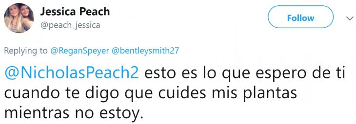 Hija pide a mamá que cuide sus plantas suculentas y se vuelve viral en Twitter