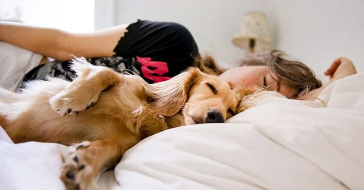 Mujeres duermen mejor con su perro que con su pareja: estudio