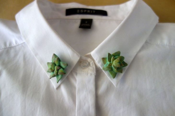 Collar tips; broches para cuello de camisa; suculentas