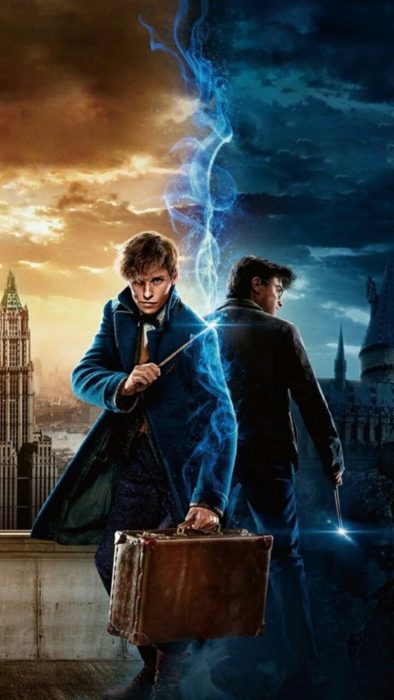 Fondo de pantalla para celular con Harry Potter y Newt Scamander, universo Harry Potter