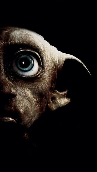 Fondo de pantalla para celular con el rostro de Dobby, Harry Potter