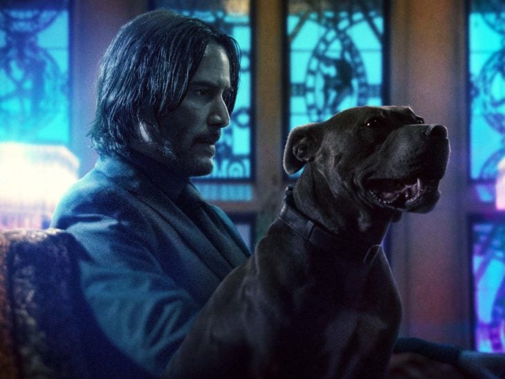 Keanu Reeves acariciando un perro sentado en un sofá, escena película John Wick: Parabellum