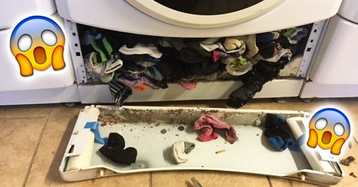 El misterio se ha resuelto: ¡la lavadora se come los calcetines!