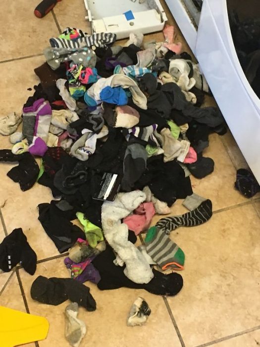 Pila de calcetines, dinero y tarjetas de crédito que fueron sacadas de una lavadora 