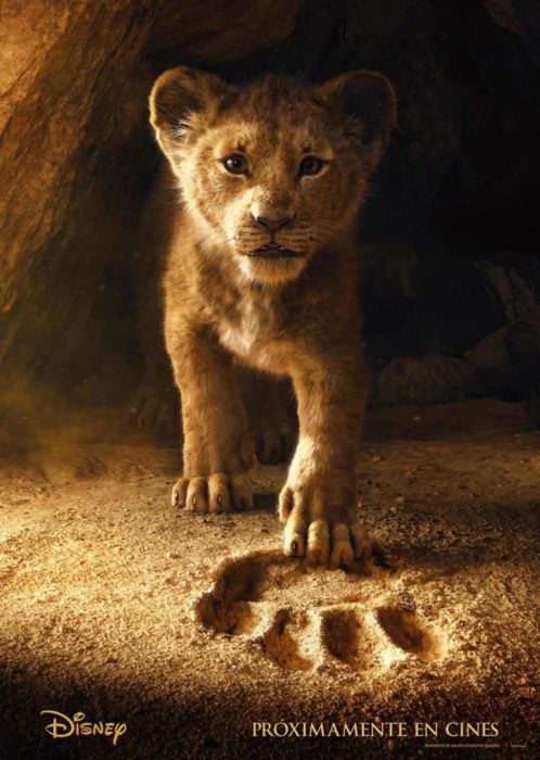 Poster de la película de El Rey león. Simba pisando la huella de su padre 