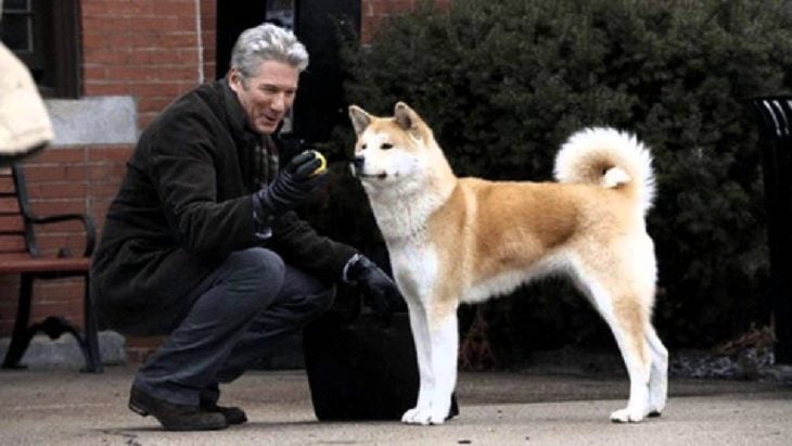 Richard Gere jugando con un perro de raza akita fuera de la estación de tren, escena película Siempre a tu lado: Hachiko