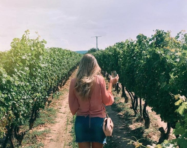 Concurso de compañía Rosé all day, chica rubia de espaldas caminando en un viñedo con una copa de vino en la mano