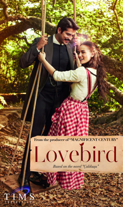 Poster de la serie de Netflix Lovebird. Pareja de novios balanceándose en un columpio 