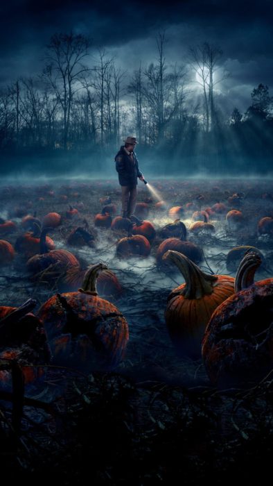 Wallpapers de serie Stranger things; fondo de pantalla para celular de Hopper en el campo de calabazas de noche