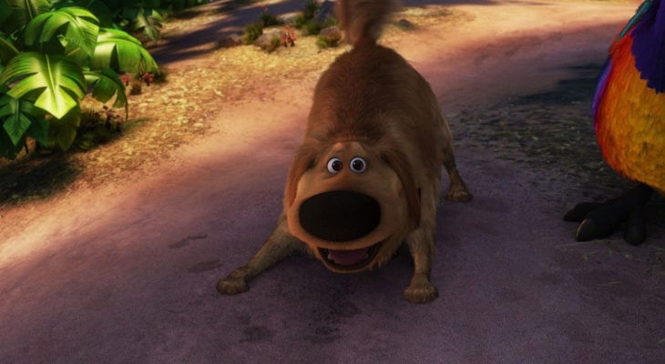 Curiosidades de película de Disney-Pixar, Up: una aventura de altura; perro Dug, cruza de labrador con golden retriever