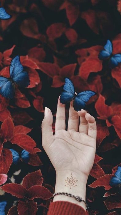 Fondo de pantalla para celular con flores rosas y una mano sosteniendo una mariposa