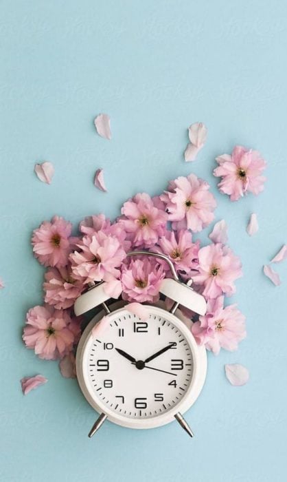 Fondo de pantalla para celular con un reloj antiguo y flores rosas 