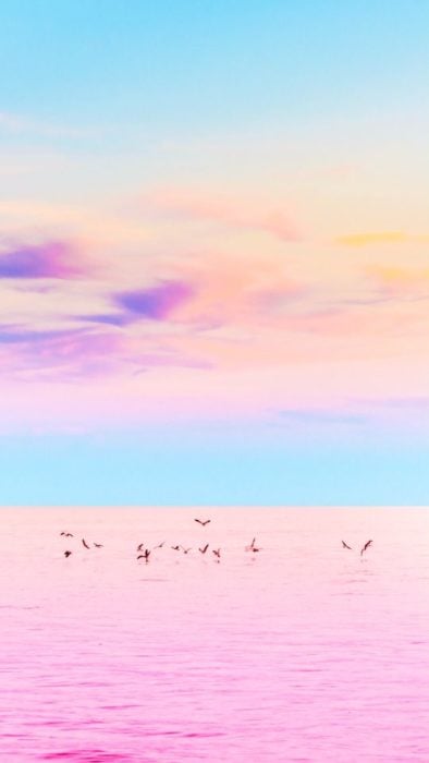 Wallpaper de naturaleza para celular; fondo de pantalla de colores pastel, el océano rosa, con el cielo azul, nubes moradas y gaviotas volando