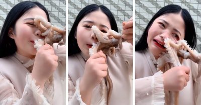 Mujer es atacada por un pulpo al que intentaba comerse; eso se llama KARMA