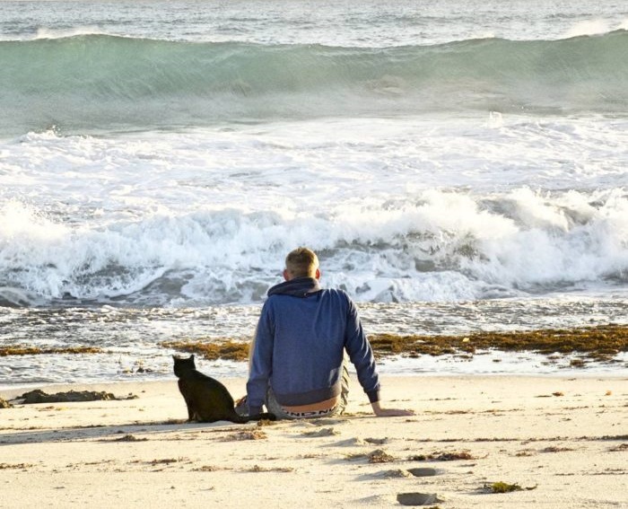 Rich y Willow sentados a la orilla del maro, apreciando las olas 