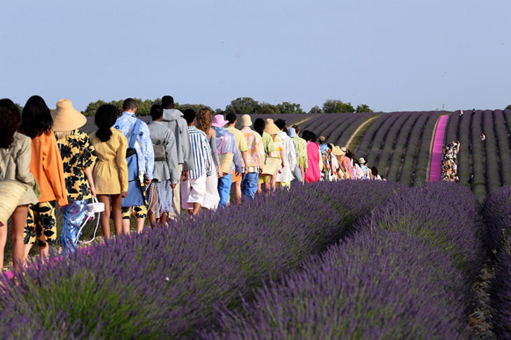 Modelos de la pasarela de Jacquemus caminando por una alfombra rosa entre los campos de lavanda