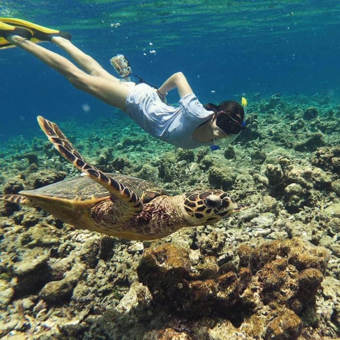 Chica buceando con tortugas bajo el mar 