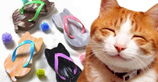 Estas sandalias de gato serán tus preferidas en verano