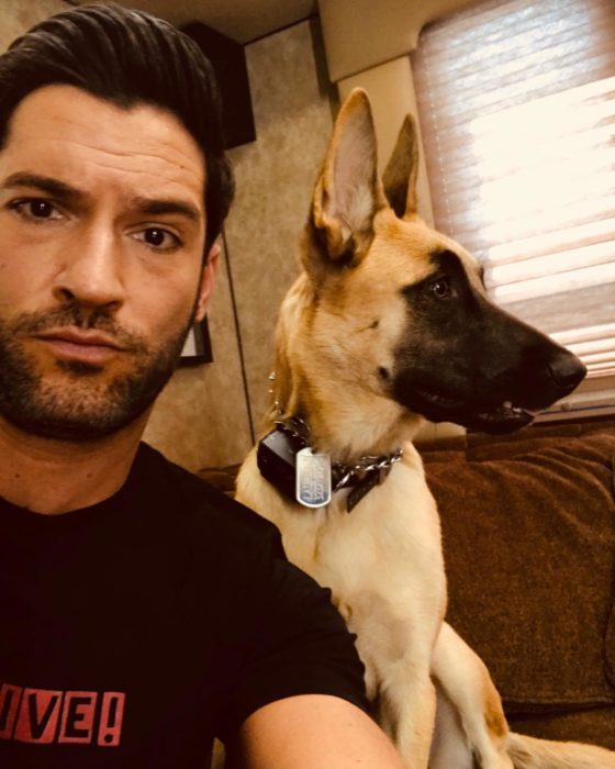 Actor de serie de Netflix, Lucifer, Tom Ellis; hombre de barba con un perro pastor alemán