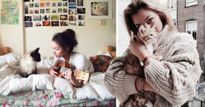 Los gatos adoptan rasgos de personalidad de sus dueños: estudio