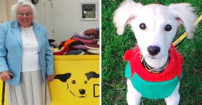 Abuelita de 89 años teje mantas para los perros abandonados de los albergues