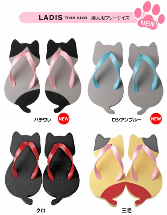 Sandalias de gatito con diferentes diseños 