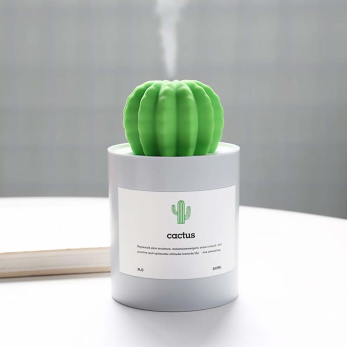 Humidificador de aire de cactus