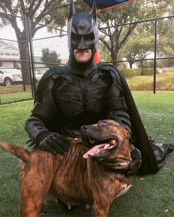 Chris Van Dorn se disfraza de batman para rescatar animales; perro pitbull