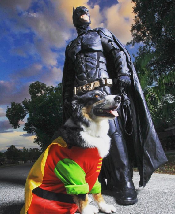 Chris Van Dorn se disfraza de batman para rescatar animales con su perro vestido de Robin