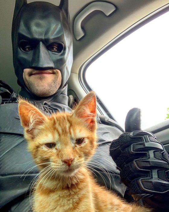 Chris Van Dorn se disfraza de batman para rescatar animales; gato anaranjado