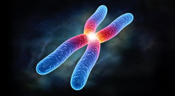 cromosoma 21 humano ilustración